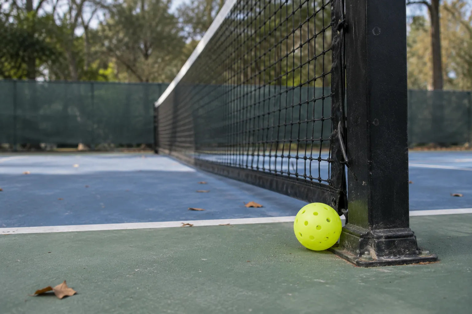 A pickleball resting against the net post